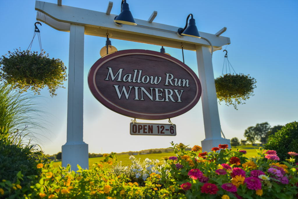 Mallow Run Winery VISIT