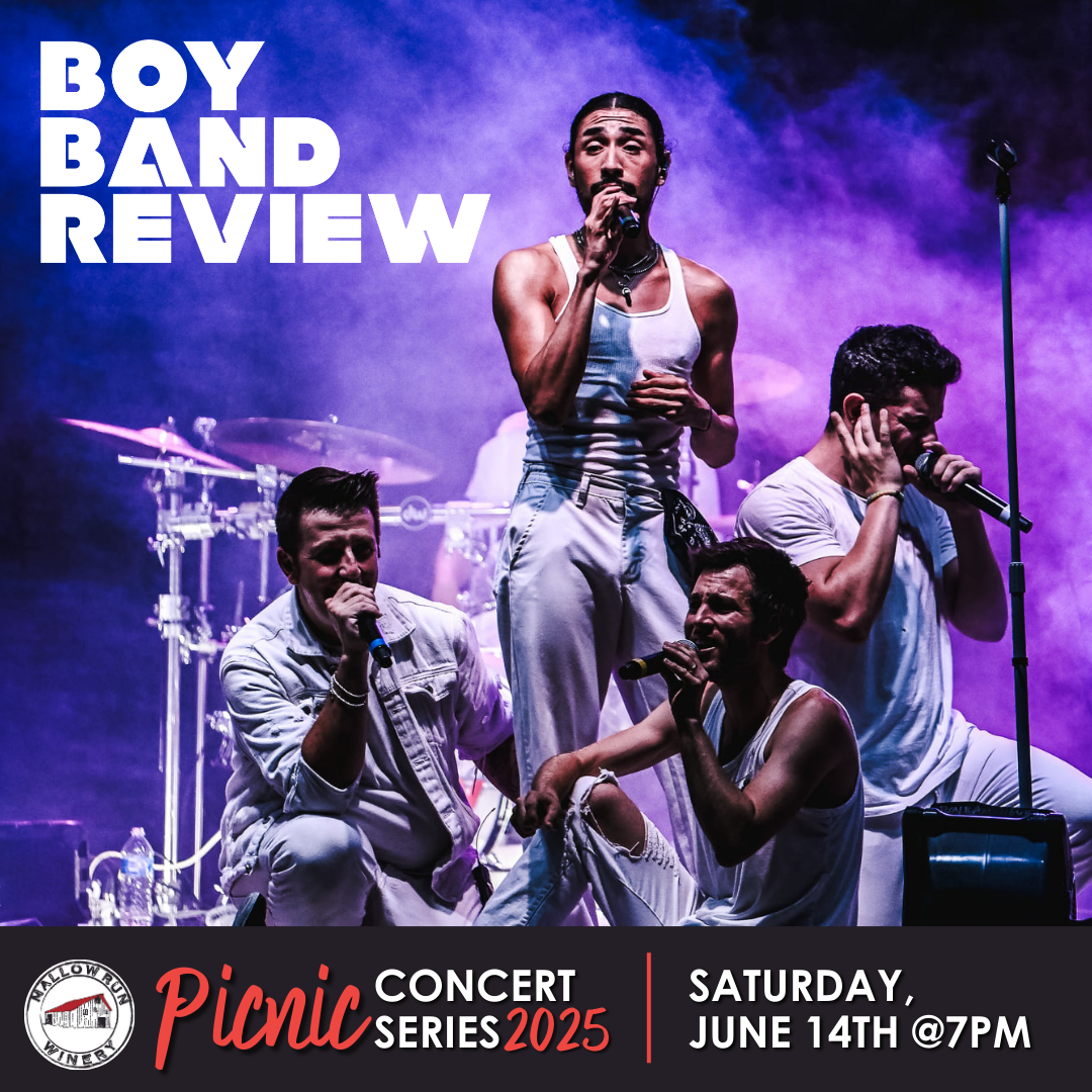 BOYBANDREVIEW